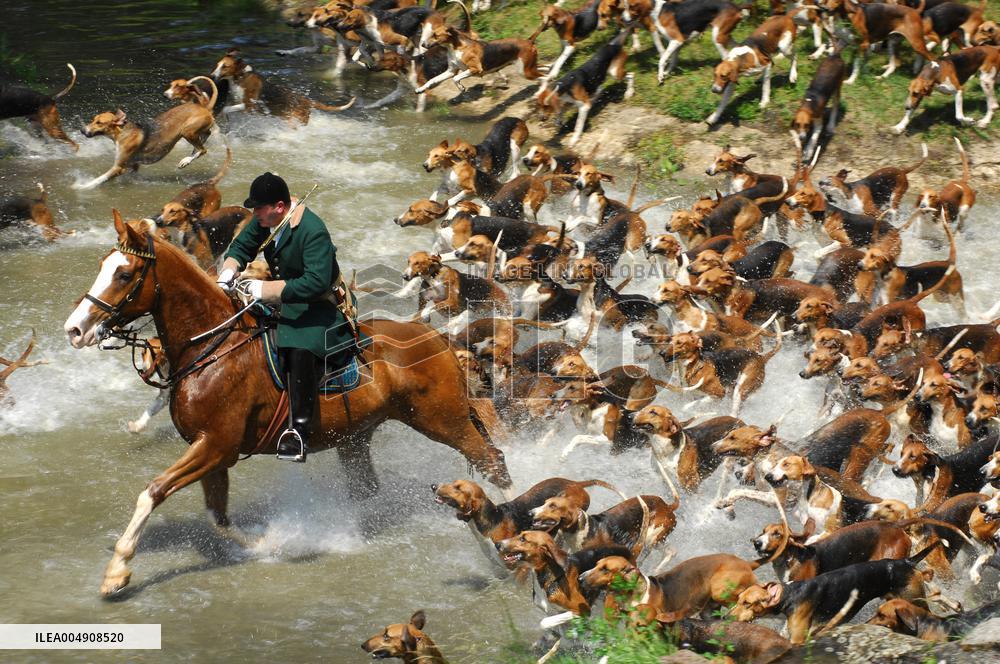 Illustration - Fontainebleau