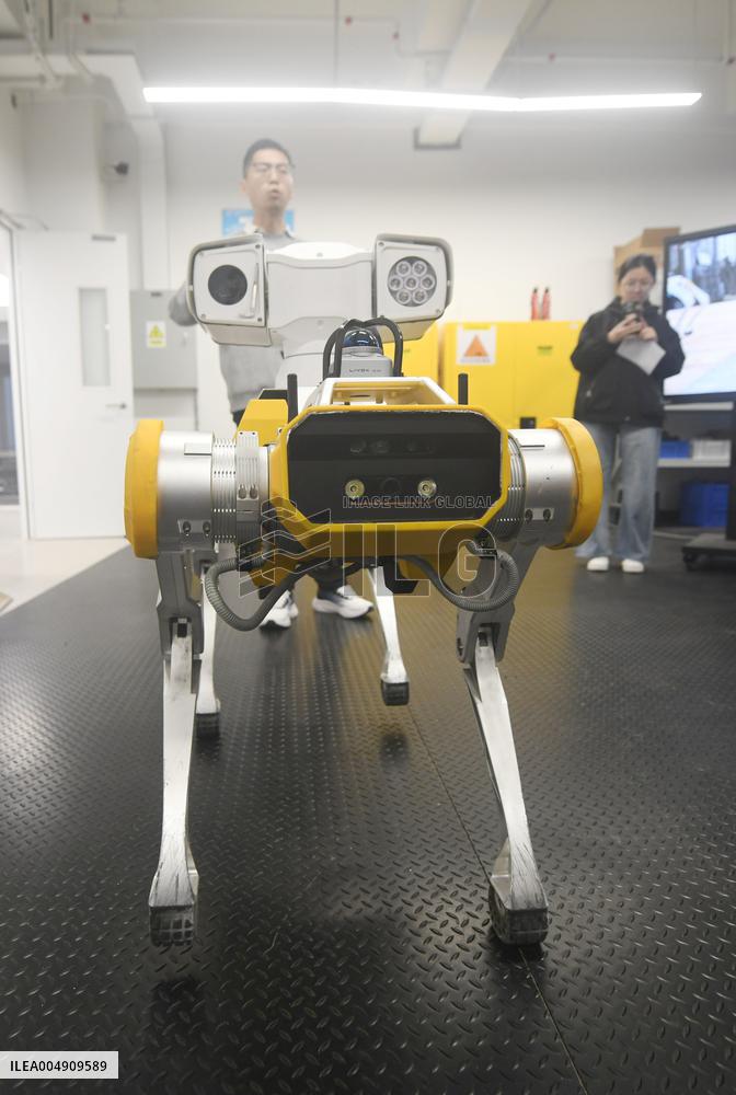 World Fastest Robot Dog Black Panther 2.0