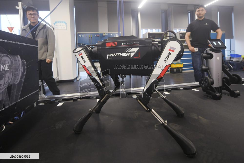 World Fastest Robot Dog Black Panther 2.0