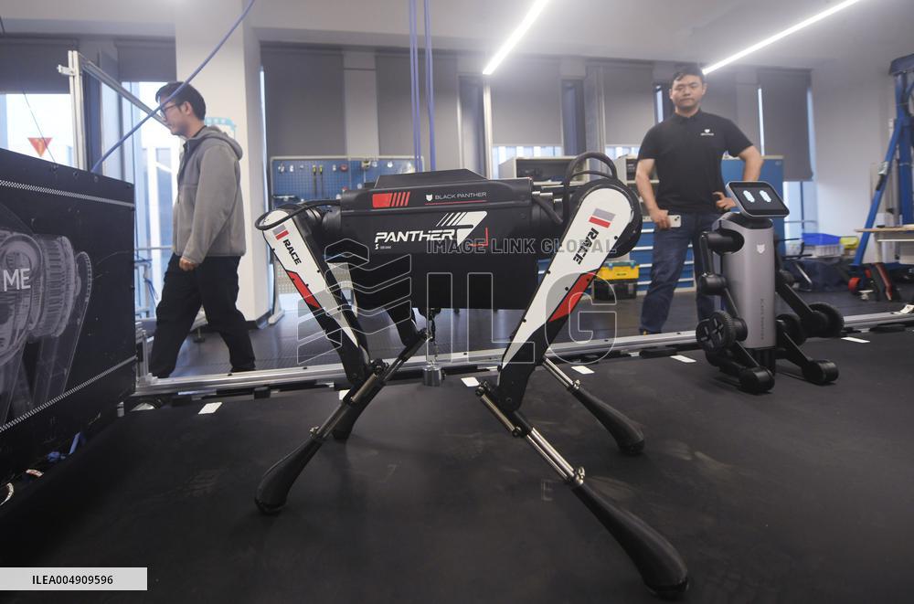 World Fastest Robot Dog Black Panther 2.0