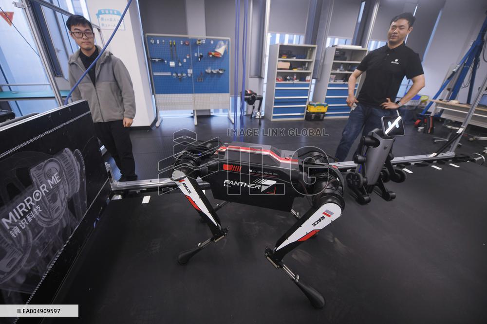 World Fastest Robot Dog Black Panther 2.0