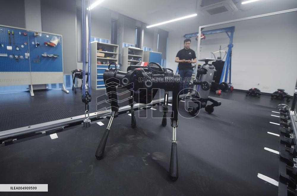 World Fastest Robot Dog Black Panther 2.0