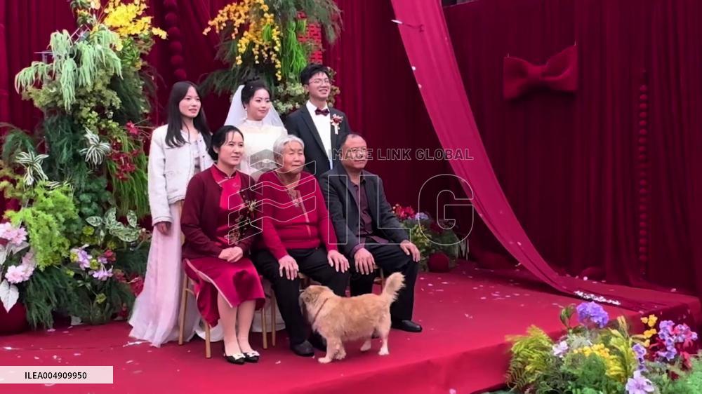 China: Dog Crashes Wedding Photo for Adorable Family Moment