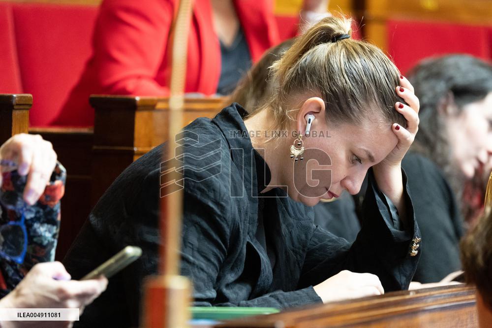 Questions to the government at the French National Assembly - Paris