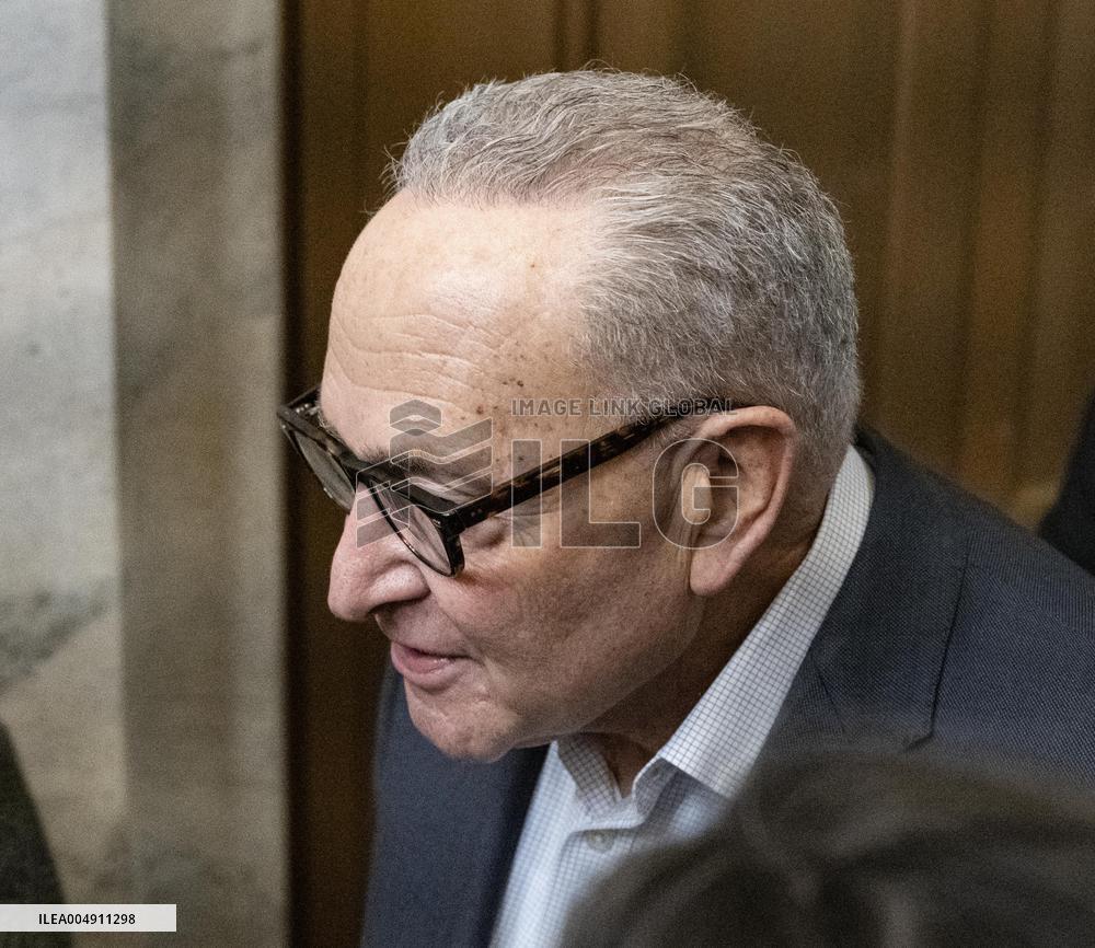 Schumer Speaks to the Press