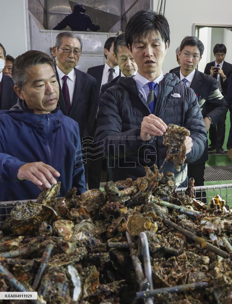 Mass oyster die-offs in Hiroshima Pref.