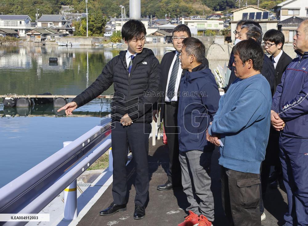 Mass oyster die-offs in Hiroshima Pref.