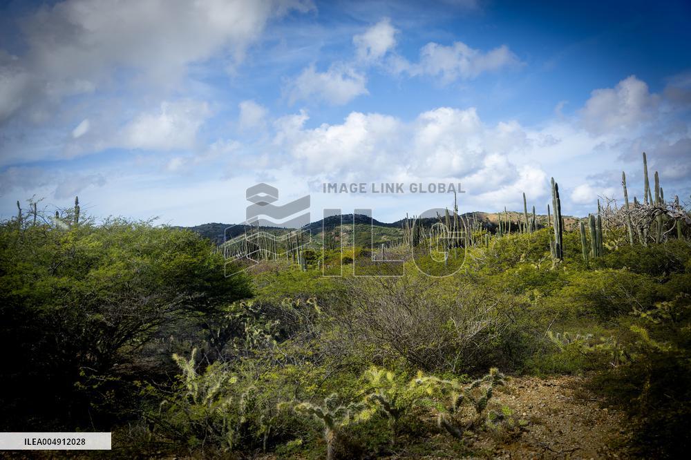Princess Beatrix Visits Bonaire