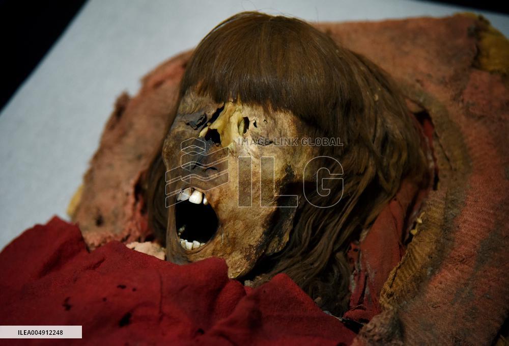 Mummies at the Museum of Mankind - Paris