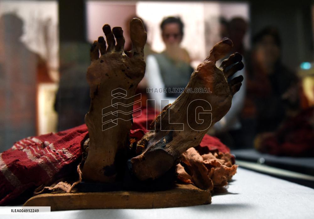 Mummies at the Museum of Mankind - Paris