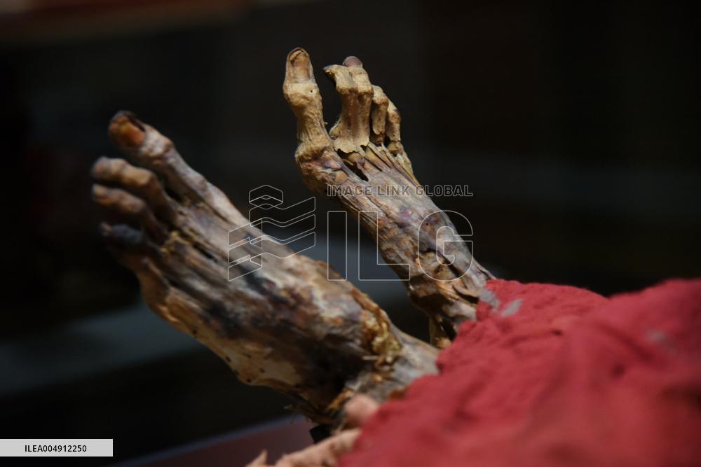 Mummies at the Museum of Mankind - Paris