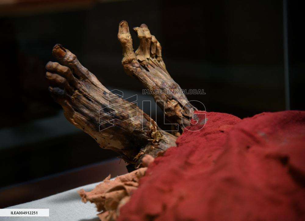 Mummies at the Museum of Mankind - Paris