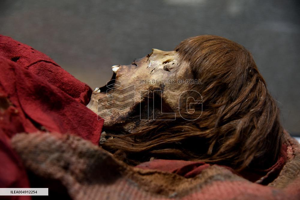 Mummies at the Museum of Mankind - Paris