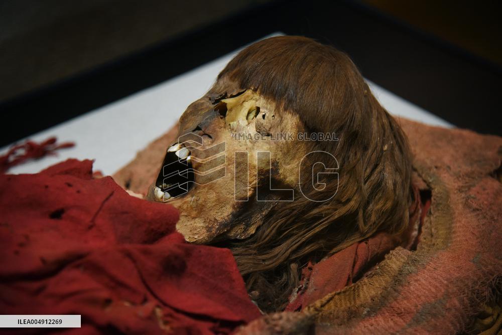 Mummies at the Museum of Mankind - Paris