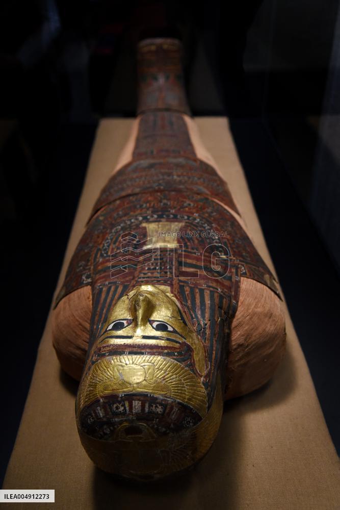 Mummies at the Museum of Mankind - Paris
