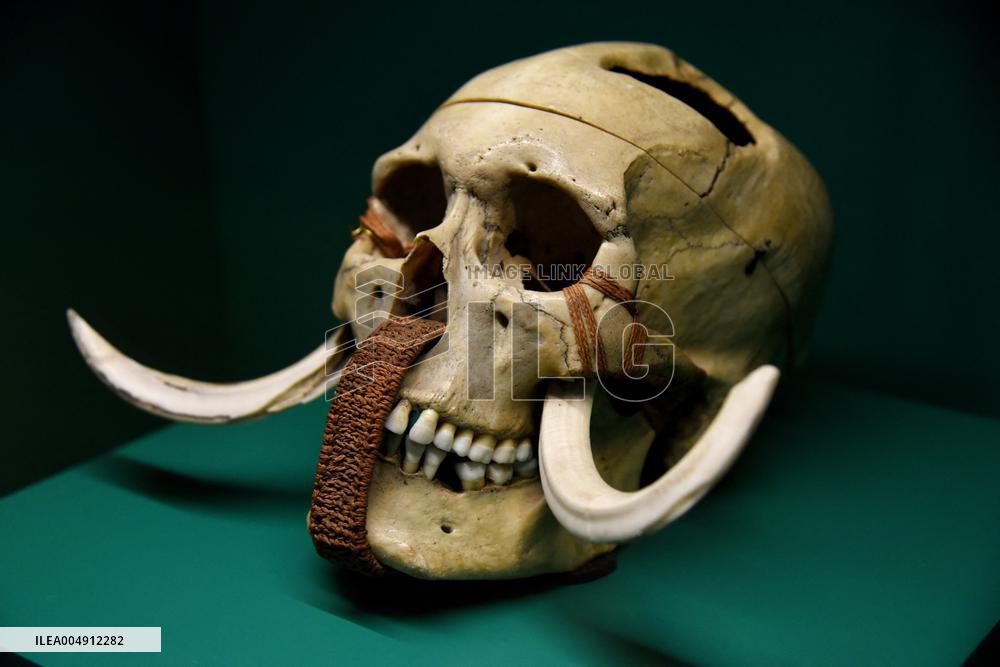 Mummies at the Museum of Mankind - Paris