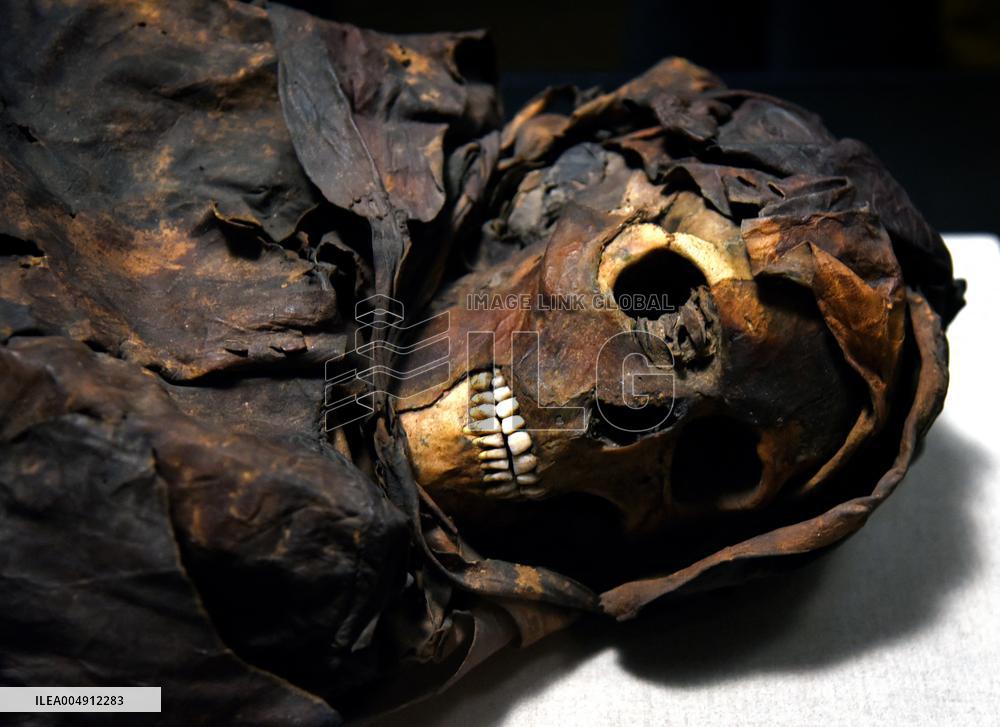 Mummies at the Museum of Mankind - Paris