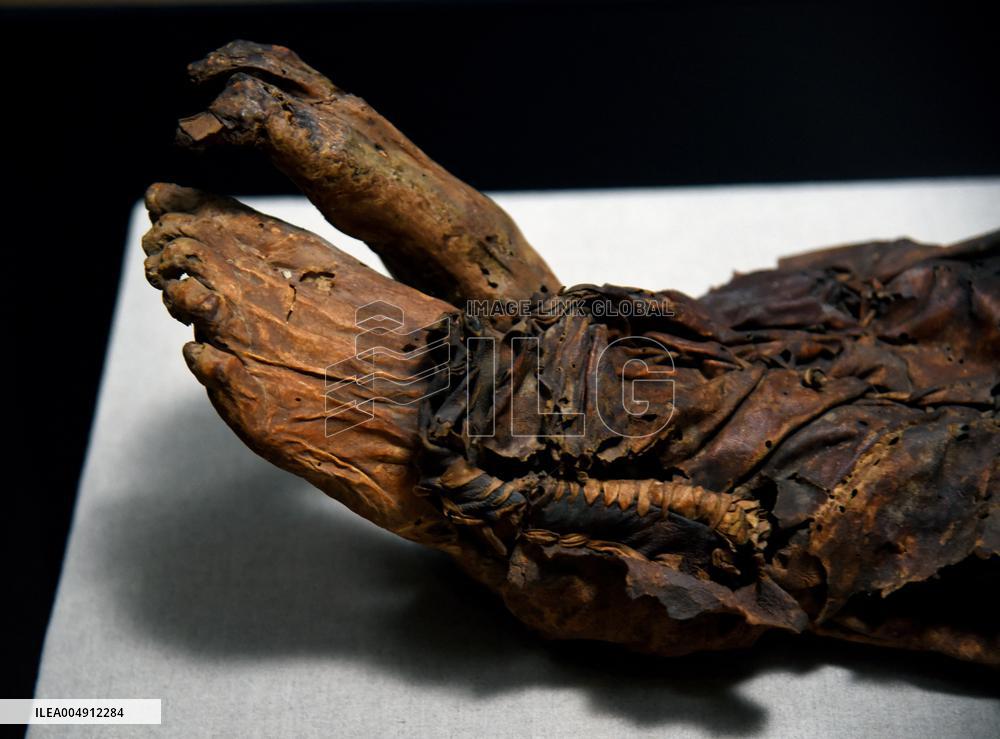 Mummies at the Museum of Mankind - Paris