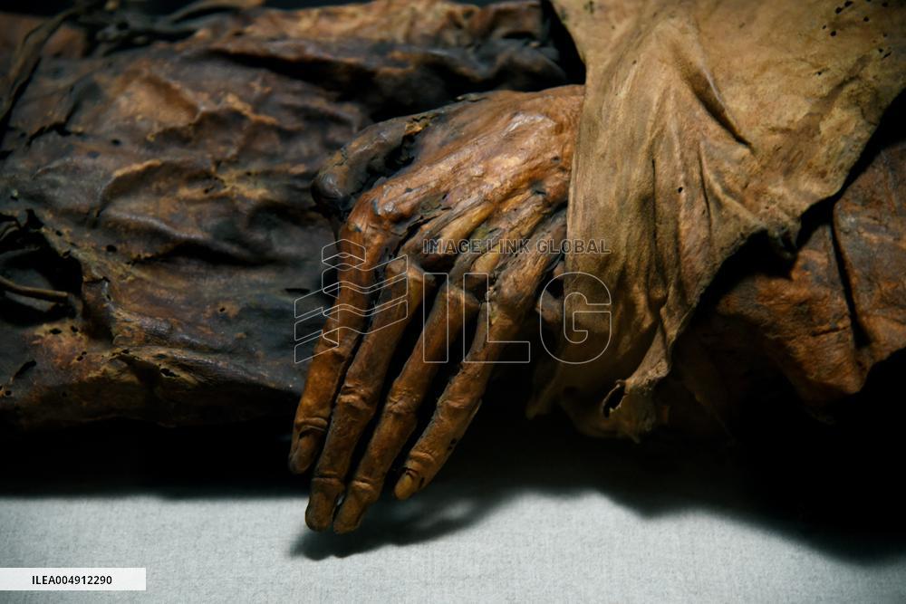 Mummies at the Museum of Mankind - Paris