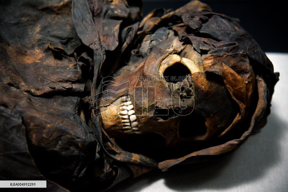 Mummies at the Museum of Mankind - Paris