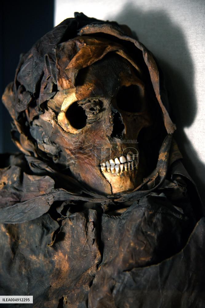 Mummies at the Museum of Mankind - Paris