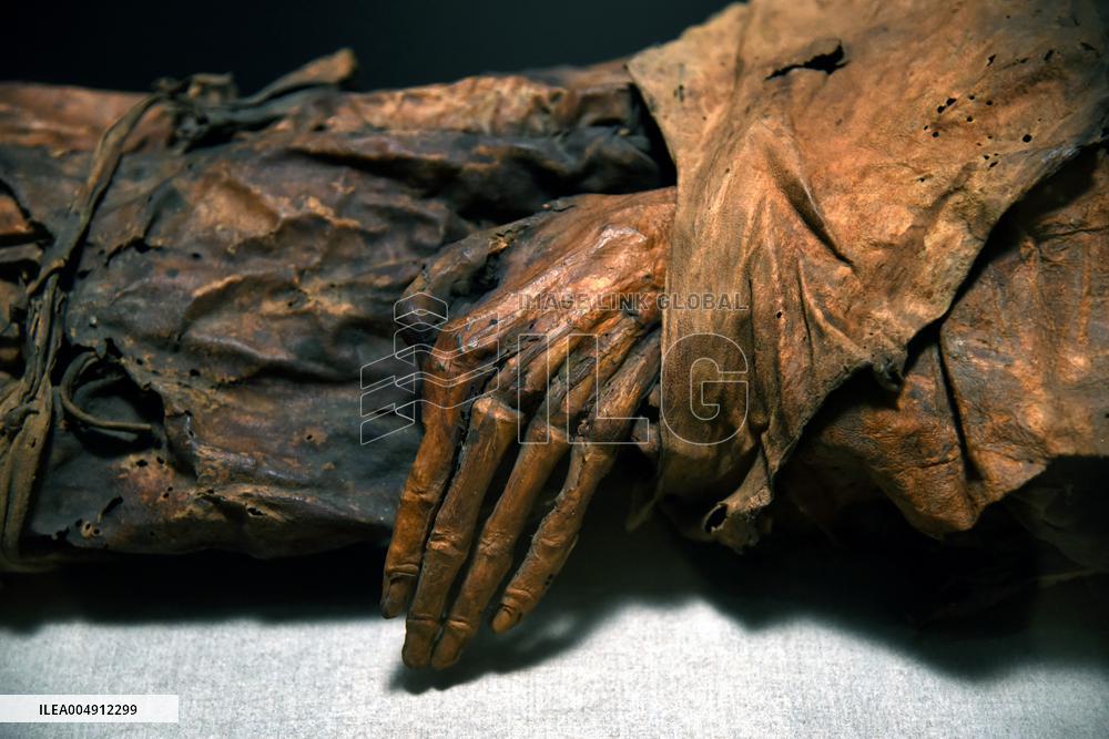 Mummies at the Museum of Mankind - Paris