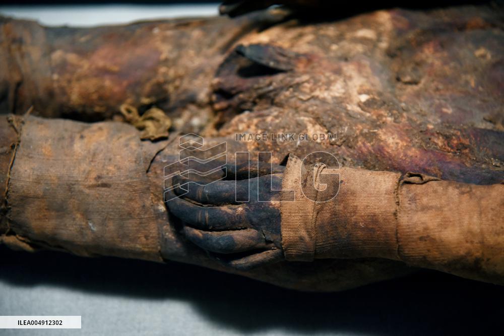 Mummies at the Museum of Mankind - Paris