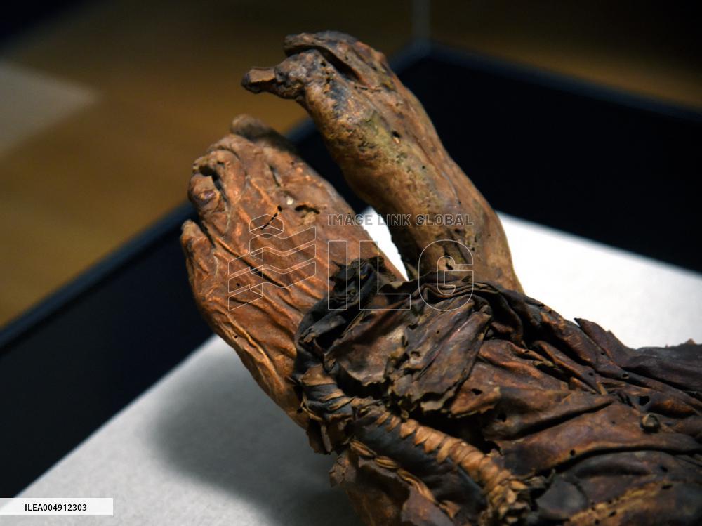 Mummies at the Museum of Mankind - Paris