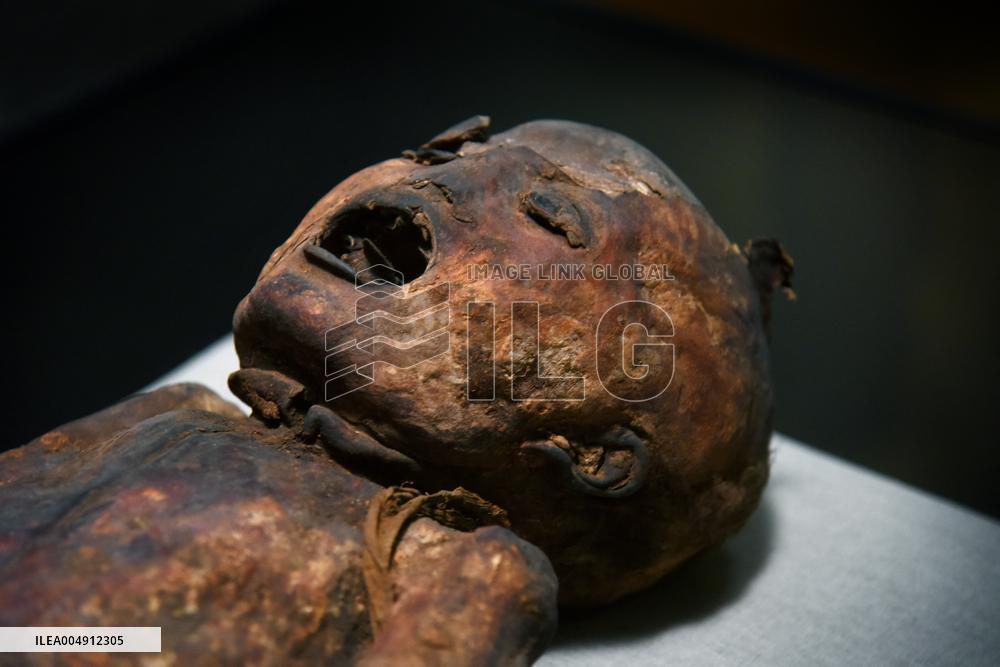 Mummies at the Museum of Mankind - Paris