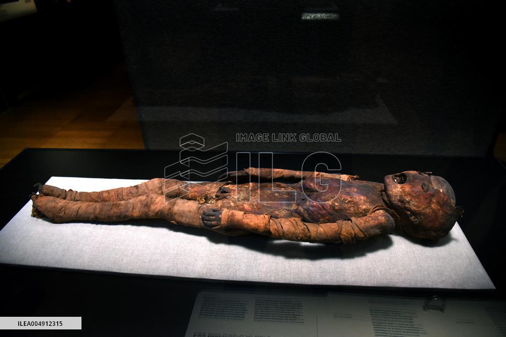 Mummies at the Museum of Mankind - Paris