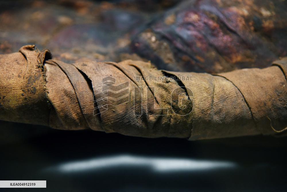 Mummies at the Museum of Mankind - Paris
