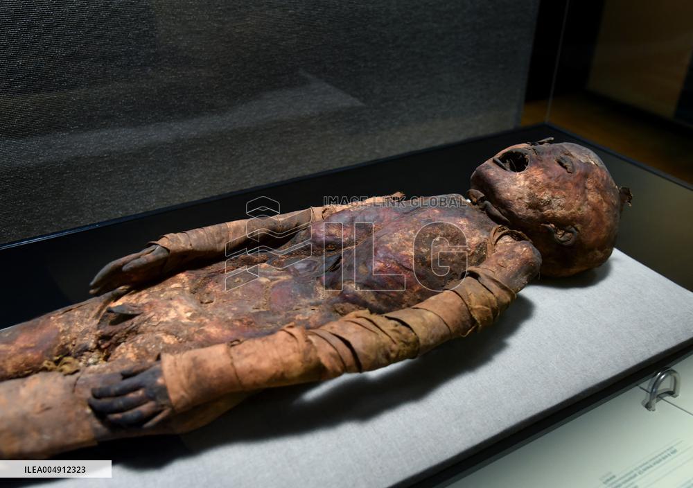 Mummies at the Museum of Mankind - Paris