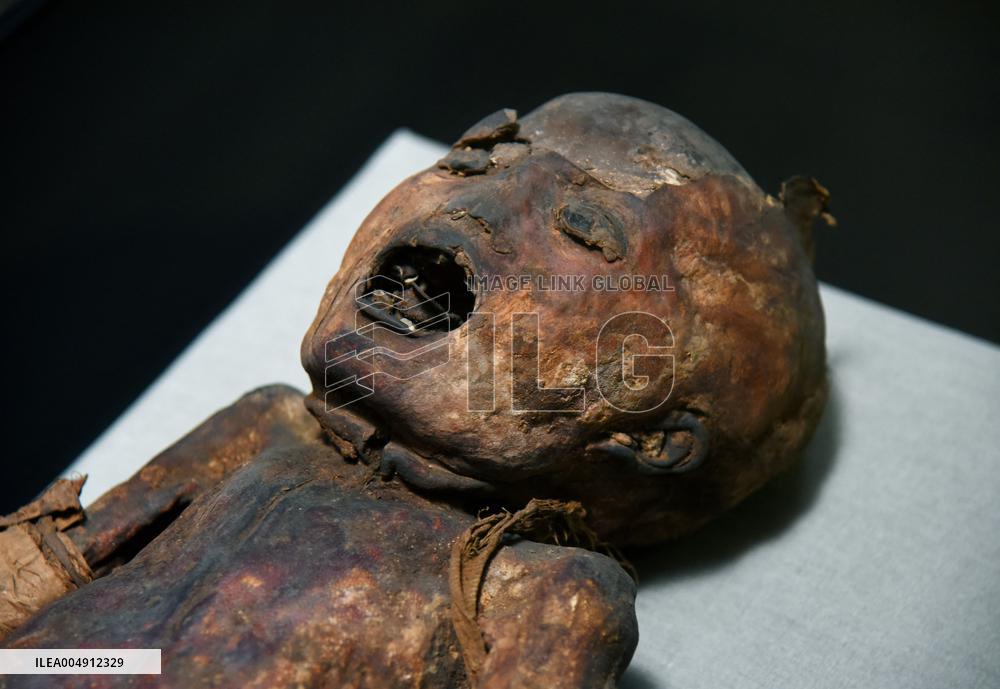 Mummies at the Museum of Mankind - Paris