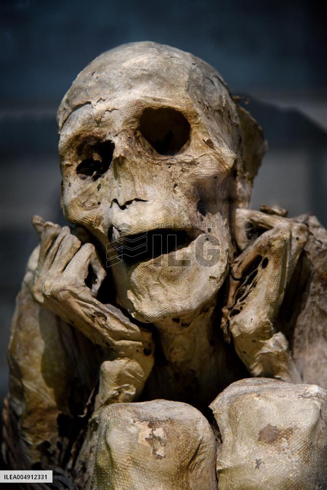 Mummies at the Museum of Mankind - Paris