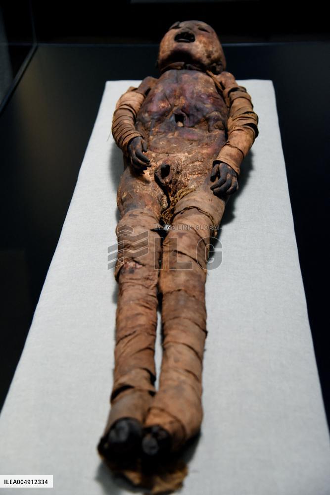Mummies at the Museum of Mankind - Paris