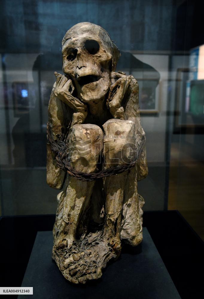 Mummies at the Museum of Mankind - Paris