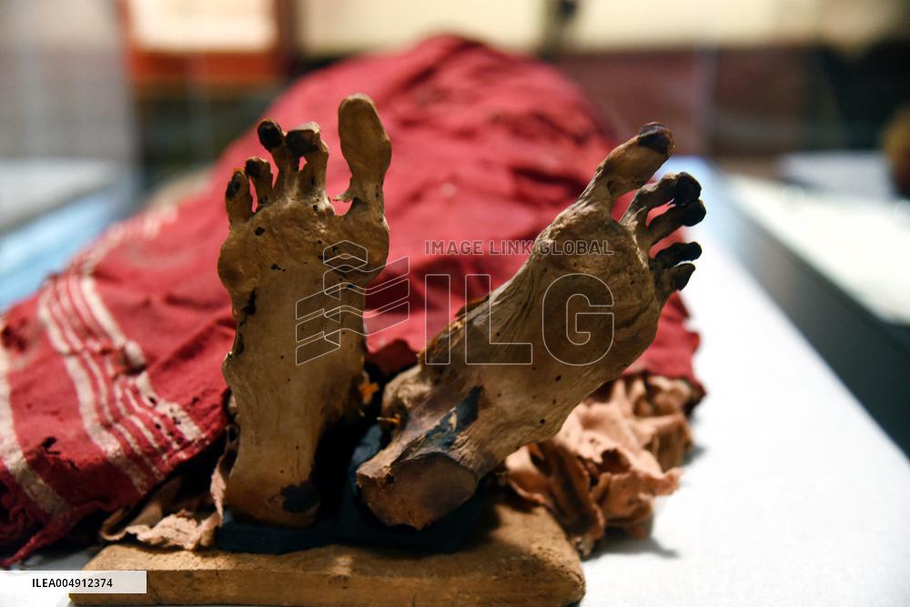 Mummies at the Museum of Mankind - Paris