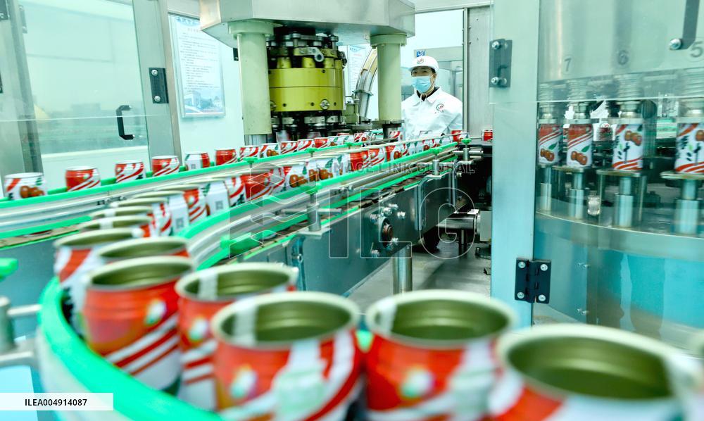 Intelligent Digital Production in Zhangye