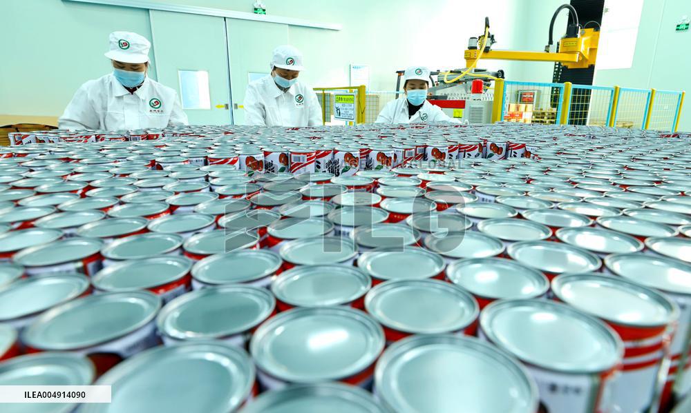 Intelligent Digital Production in Zhangye