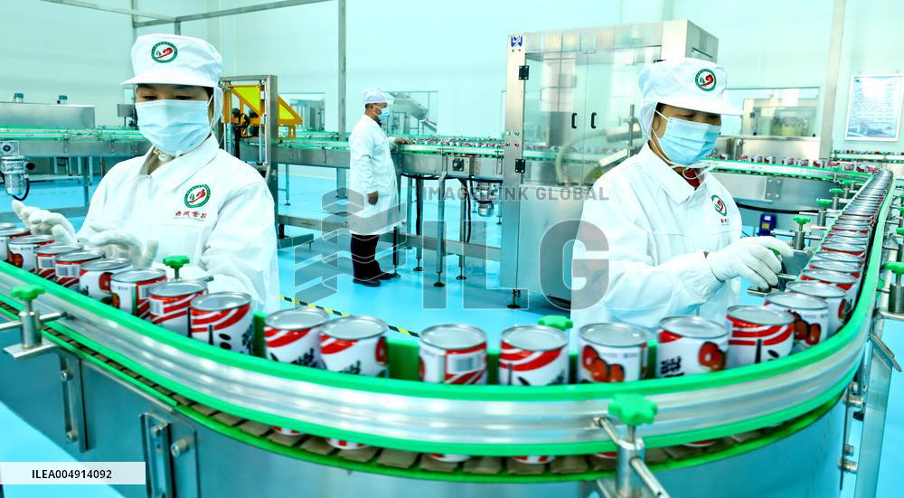 Intelligent Digital Production in Zhangye