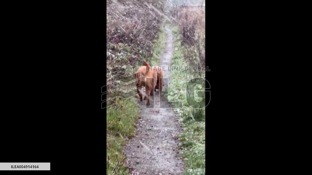 UK: Snow Blankets Country as Arctic Air Arrives 6