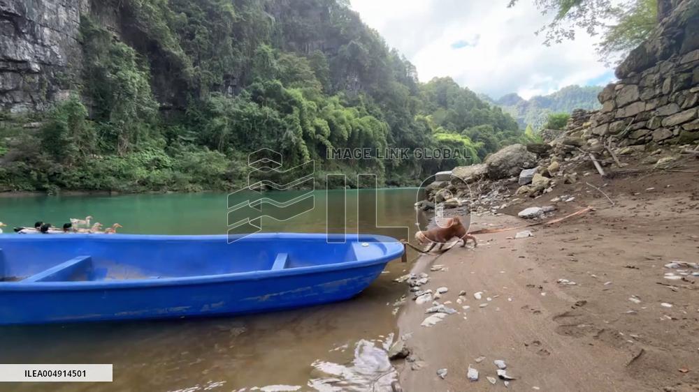 China: Dog Dives Into River to Chase Ducks in Hunan