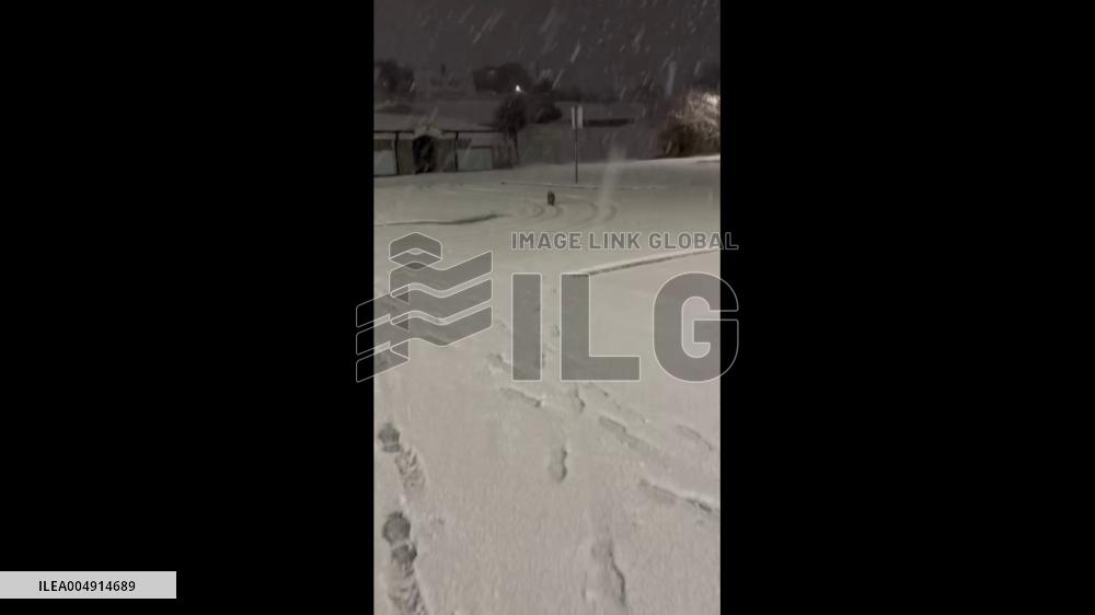 UK: Fox Encounter Captured on Video in Snowy Aberdeen