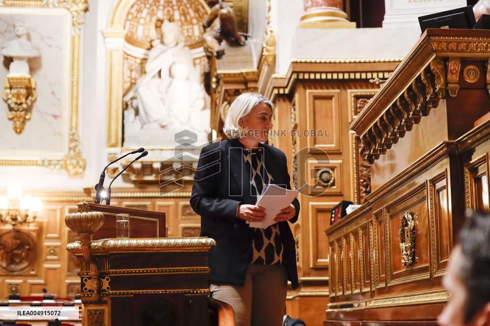 Debate on The Social Security Bill in The Senate - Paris