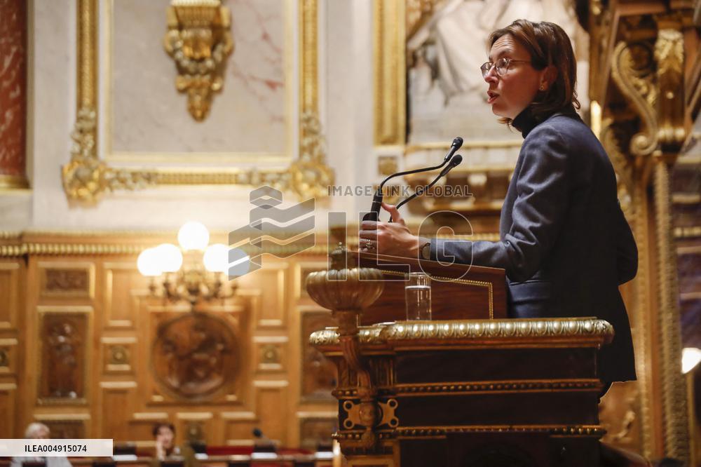 Debate on The Social Security Bill in The Senate - Paris