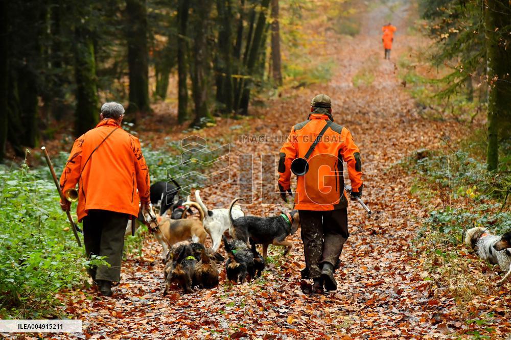 Hunting in Normandy in The Forest of Écouves - France