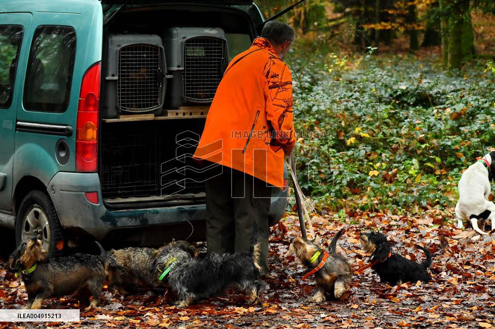 Hunting in Normandy in The Forest of Écouves - France