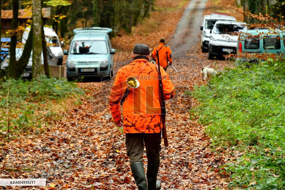 Hunting in Normandy in The Forest of Écouves - France