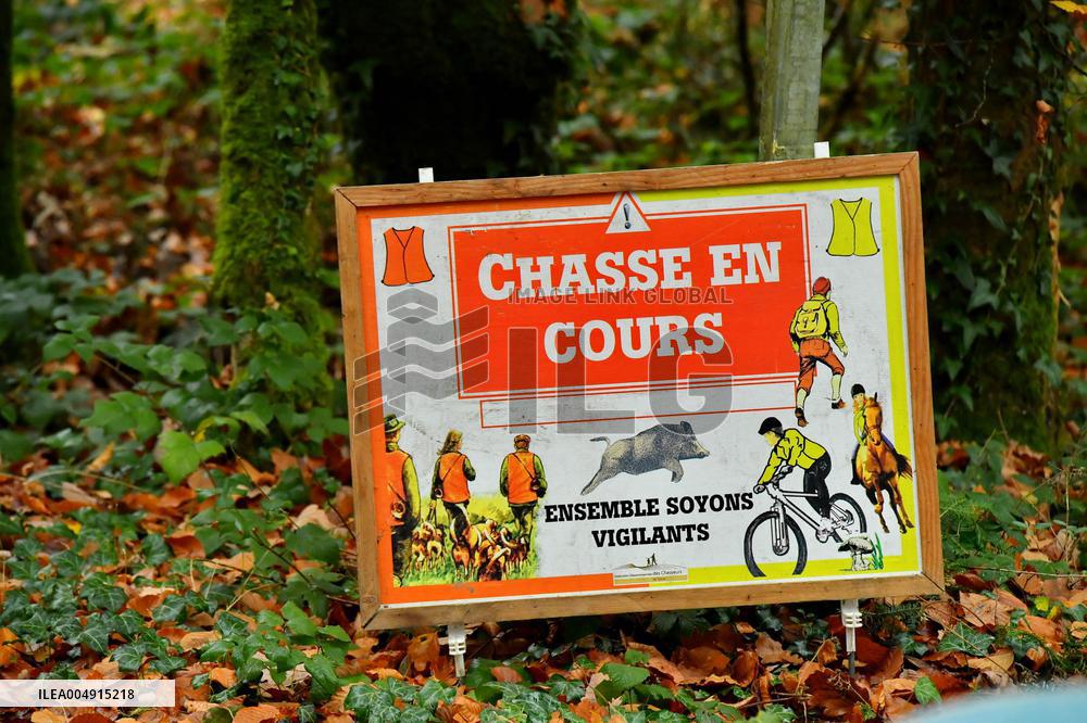 Hunting in Normandy in The Forest of Écouves - France