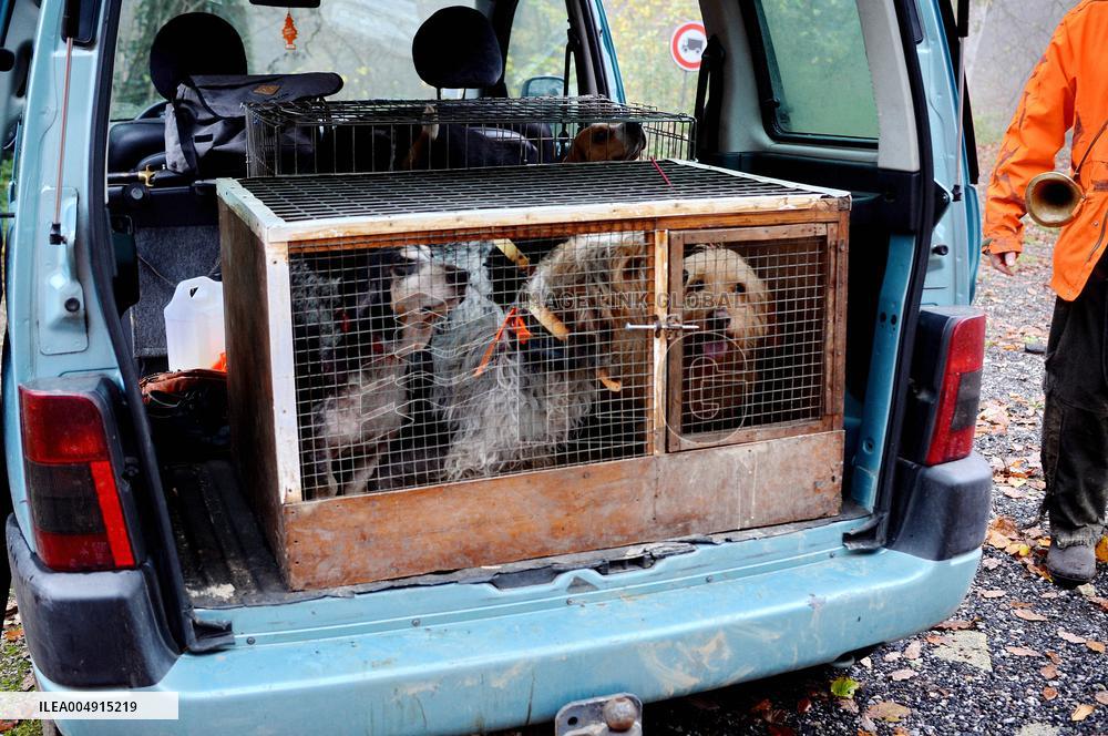 Hunting in Normandy in The Forest of Écouves - France